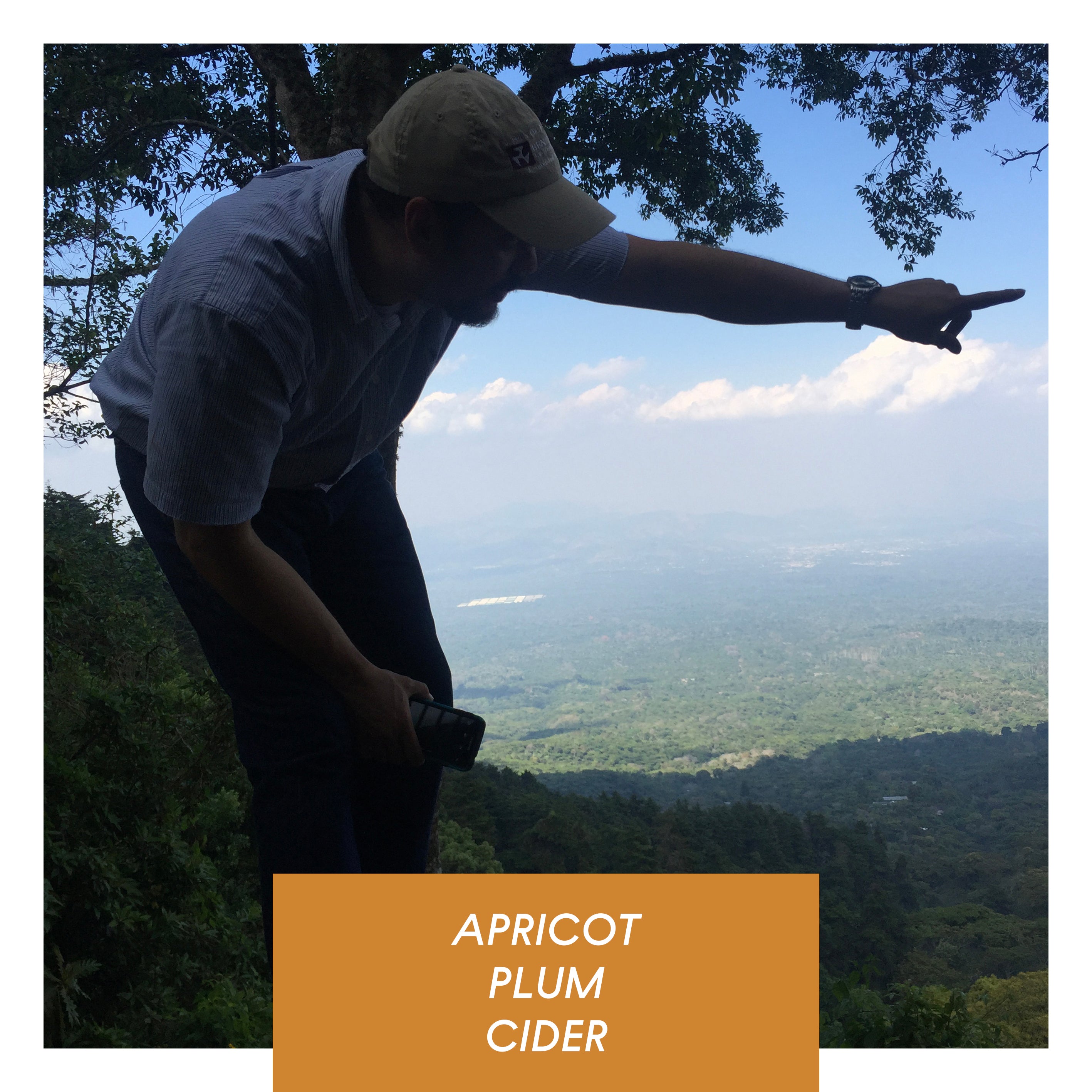 Photo of Las Brumas, Washed Pacamara