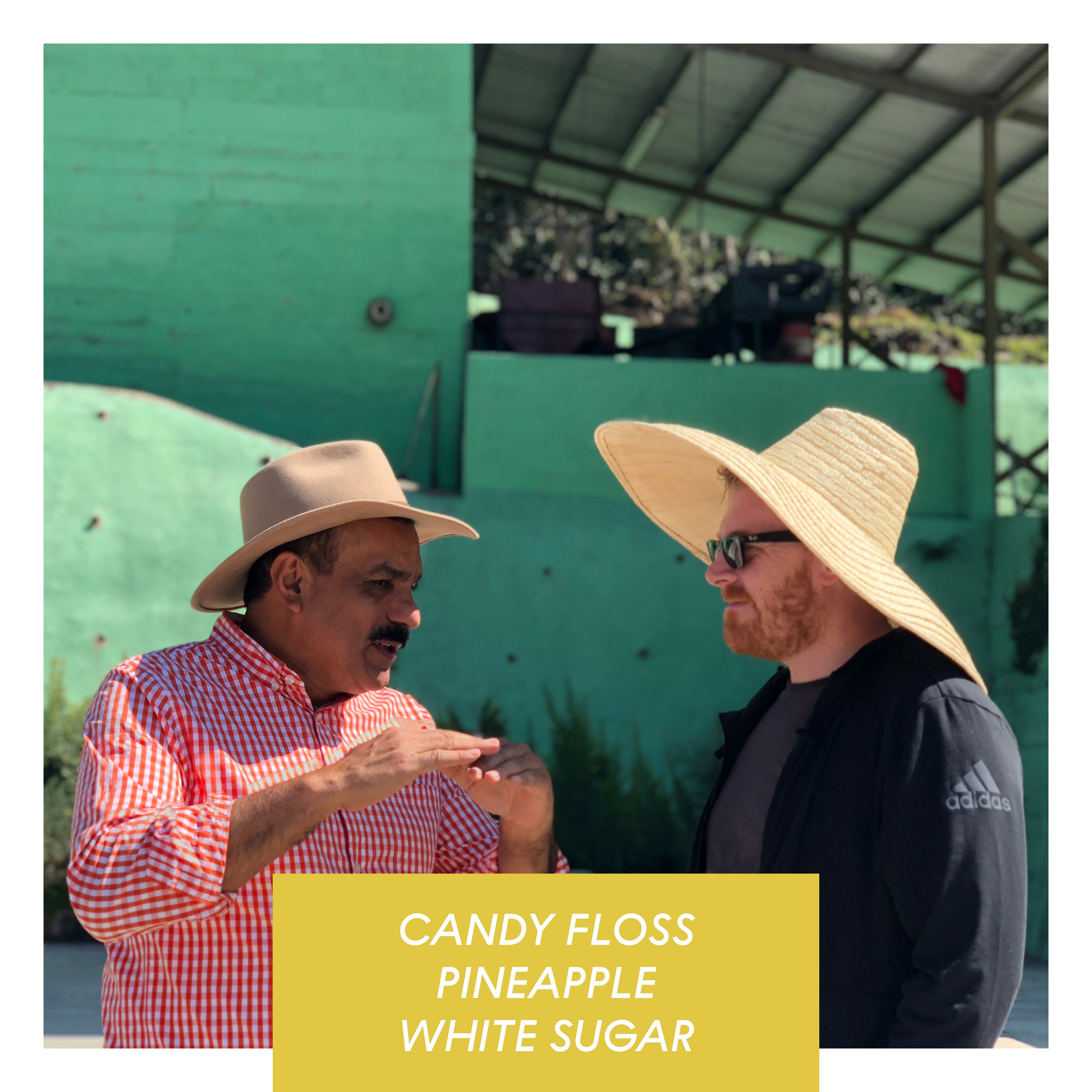 Photo of Los Altares, Anaerobic Honey Caturra, Guatemala