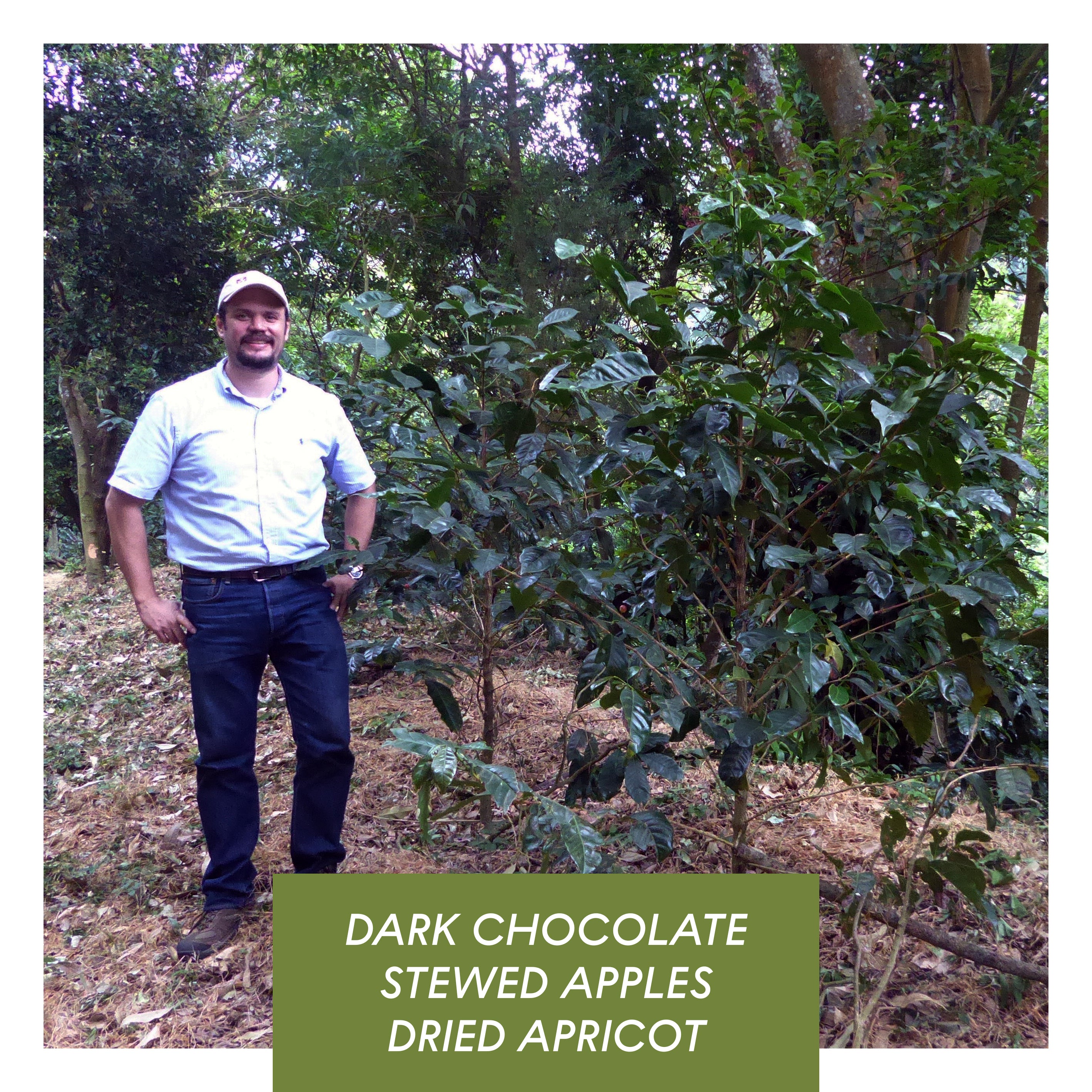 Photo of Los Andes, Anaerobic Natural Bourbon, El Salvador