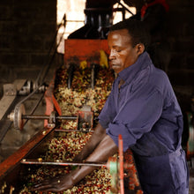 Load image into Gallery viewer, Hunkute, Washed 74410 &amp; 74112, Ethiopia
