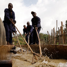 Load image into Gallery viewer, Hunkute, Washed 74410 &amp; 74112, Ethiopia
