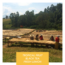 Load image into Gallery viewer, Nano Challa, Washed Heirloom, Ethiopia - Organic
