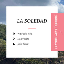 Load image into Gallery viewer, La Soledad, Washed Gesha, Guatemala
