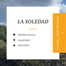 Load image into Gallery viewer, La Soledad, Washed Caturra, Guatemala
