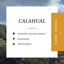 Ladda upp bild till gallerivisning, Calahual, Anaerobic Natural Caturra, Guatemala
