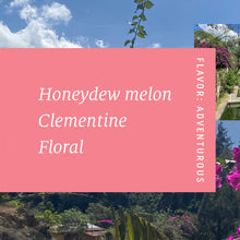Load image into Gallery viewer, La Soledad, Washed Gesha, Guatemala
