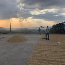 Ladda upp bild till gallerivisning, Calahual, Anaerobic Natural Caturra, Guatemala
