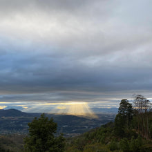 Ladda upp bild till gallerivisning, Calahual, Anaerobic Natural Caturra, Guatemala
