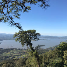 Load image into Gallery viewer, San Jose Natural Caturra, Nicaragua
