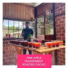 Load image into Gallery viewer, La Soledad, Washed Caturra and Catuaí, Guatemala
