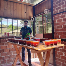 Load image into Gallery viewer, La Soledad, Washed Gesha, Guatemala
