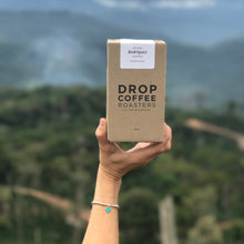 Load image into Gallery viewer, Alasitas, Washed Caturra, Bolivia
