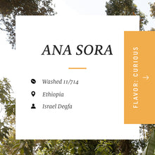 Load image into Gallery viewer, Ana Sora, Washed, Ethiopia

