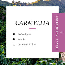 Ladda upp bild till gallerivisning, Carmelita Natural Java, Bolivia
