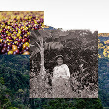Load image into Gallery viewer, Carmelita, Natural Java, Bolivia
