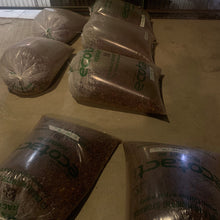 Load image into Gallery viewer, Carmelita, Honey Caturra, Bolivia
