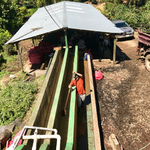 Load image into Gallery viewer, Las Delicias, Washed Java, Nicaragua
