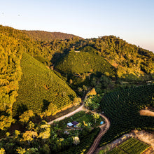 Load image into Gallery viewer, Alasitas, Washed Caturra, Bolivia
