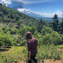 Load image into Gallery viewer, La Soledad, Washed Gesha, Guatemala
