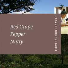 Load image into Gallery viewer, El Sunzita, Washed Hybrid El Pasti, El Salvador
