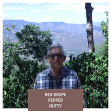 Load image into Gallery viewer, El Sunzita, Washed Hybrid El Pasti, El Salvador
