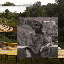 Ladda upp bild till gallerivisning, &lt;tc&gt;Hunkute, Etiopien - Ekologiskt&lt;/tc&gt;
