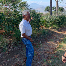 Load image into Gallery viewer, El Sunzita, Washed Hybrid El Pasti, El Salvador
