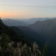 Load image into Gallery viewer, Alasitas, Washed Gesha, Bolivia
