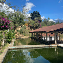 Load image into Gallery viewer, La Soledad, Washed Gesha, Guatemala
