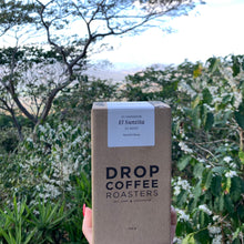 Load image into Gallery viewer, El Sunzita, Washed Hybrid El Pasti, El Salvador
