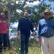 Load image into Gallery viewer, San Cayetano, Natural Catimor, El Salvador
