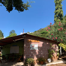 Load image into Gallery viewer, El Sunzita, Washed Hybrid El Pasti, El Salvador
