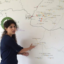 Load image into Gallery viewer, Alasitas, Washed Caturra, Bolivia
