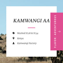 Ladda upp bild till gallerivisning, Kamwangi AA, Kenya
