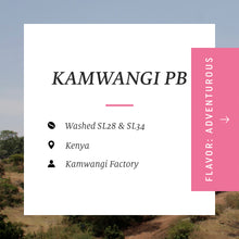Load image into Gallery viewer, Kamwangi PB, Kenya
