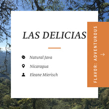 Load image into Gallery viewer, Las Delicias, Natural Java, Nicaragua

