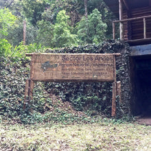 Load image into Gallery viewer, Los Andes, Natural Bourbon, El Salvador
