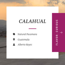 Load image into Gallery viewer, Calahual, Natural Pacamara, Guatemala
