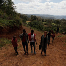 Load image into Gallery viewer, Ana Sora, Washed, Ethiopia
