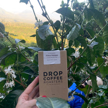 Load image into Gallery viewer, Finca Nejapa, Natural Mamut, El Salvador
