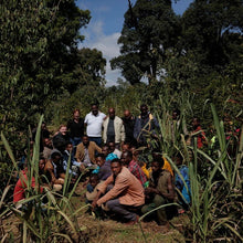 Load image into Gallery viewer, Ana Sora, Washed, Ethiopia
