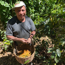 Load image into Gallery viewer, Finca Nejapa, Washed Yellow Caturra, El Salvador
