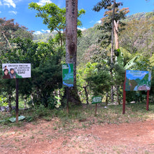 Load image into Gallery viewer, Limoncillo, Washed Caturra, Nicaragua
