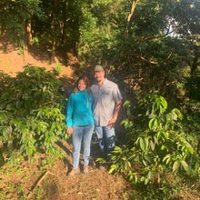 Load image into Gallery viewer, Los Andes, Washed SL28, El Salvador
