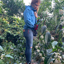 Load image into Gallery viewer, Finca Nejapa, Natural Mamut, El Salvador
