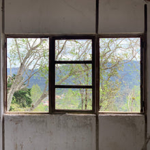 Ladda upp bild till gallerivisning, Cerro Azul, Washed Java, Honduras
