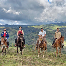 Load image into Gallery viewer, Limoncillo, Washed Caturra, Nicaragua
