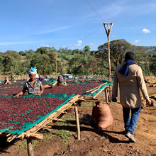 Load image into Gallery viewer, Ana Sora, Washed, Ethiopia
