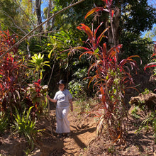 Load image into Gallery viewer, Finca Nejapa, Washed Yellow Caturra, El Salvador
