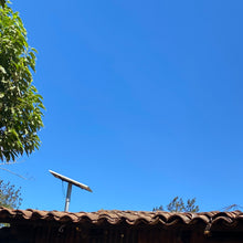 Load image into Gallery viewer, Finca Nejapa, Washed Yellow Caturra, El Salvador
